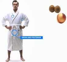 bodygroom.jpg